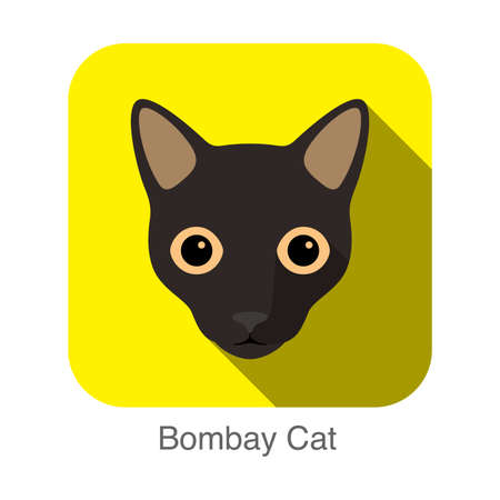 Bombay Cat, Cat breed face cartoon flat icon designのイラスト素材