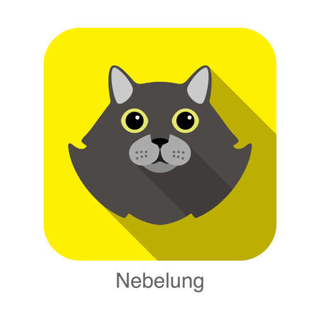 Nebelung, Cat breed face cartoon flat icon designのイラスト素材