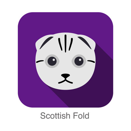 Scottish Fold, Cat breed face cartoon flat icon designのイラスト素材