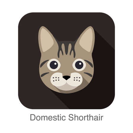 Domestic Shorthair, Cat breed face cartoon flat icon designのイラスト素材