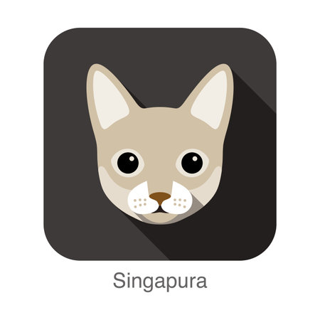 Singapura Cat, Cat breed face cartoon flat icon designのイラスト素材