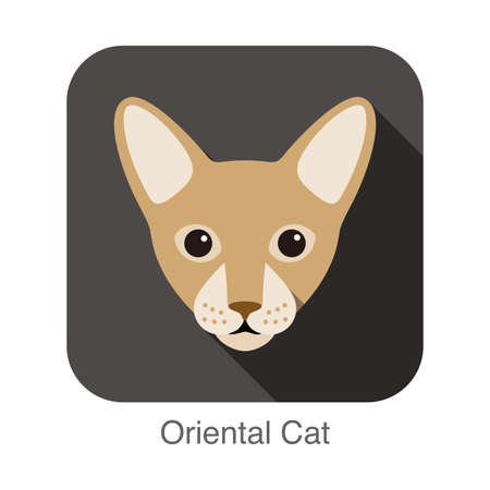 Oriental cat,, Cat breed face cartoon flat icon designのイラスト素材