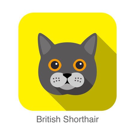 British Shorthair, Cat breed face cartoon flat icon designのイラスト素材