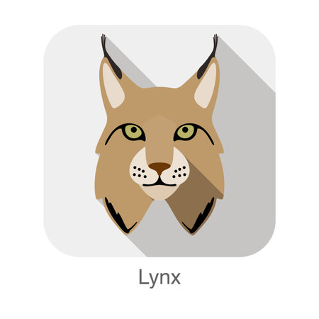 Lynx, Cat breed face cartoon flat icon designのイラスト素材