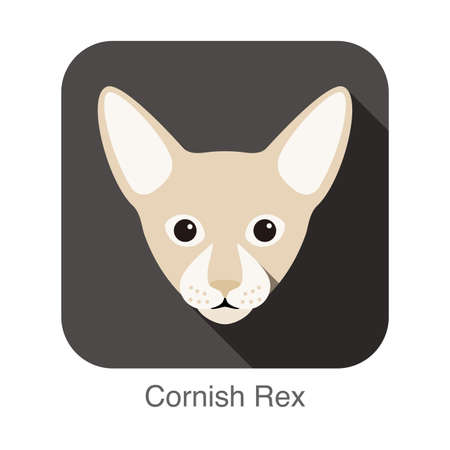 Cornish Rex Cat, Cat breed face cartoon flat icon designのイラスト素材