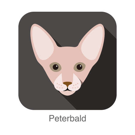 Peterbald Cat, Cat breed face cartoon flat icon designのイラスト素材