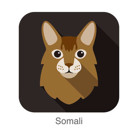 Somali Cat, Cat breed face cartoon flat icon designのイラスト素材