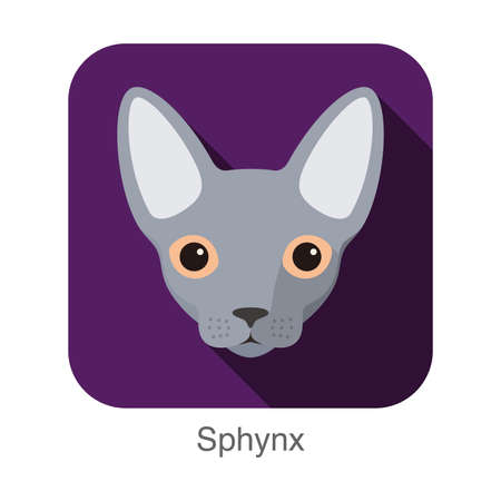 Sphynx, Cat breed face cartoon flat icon designのイラスト素材