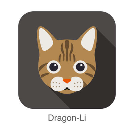 Dragon-Li, Cat breed face cartoon flat icon designのイラスト素材