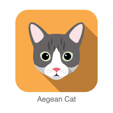 Aegean Cat, Cat breed face cartoon flat icon designのイラスト素材