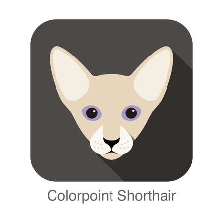 Colorpoint Shorthair Cat, Cat breed face cartoon flat icon designのイラスト素材