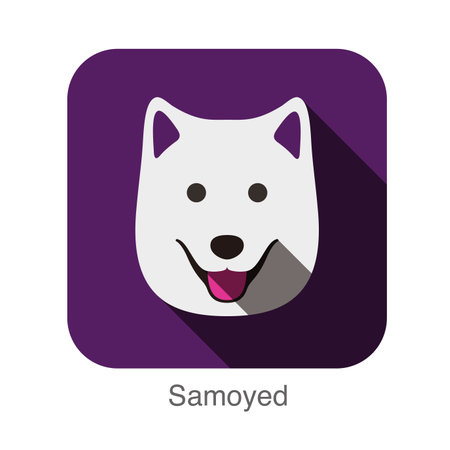 Samoyed dog face flat designのイラスト素材