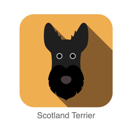 Scotland terrier dog face flat iconのイラスト素材