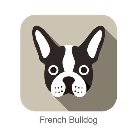 French bulldog face flat icon, dog seriesのイラスト素材