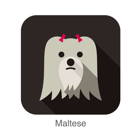 Maltese dog face flat iconのイラスト素材