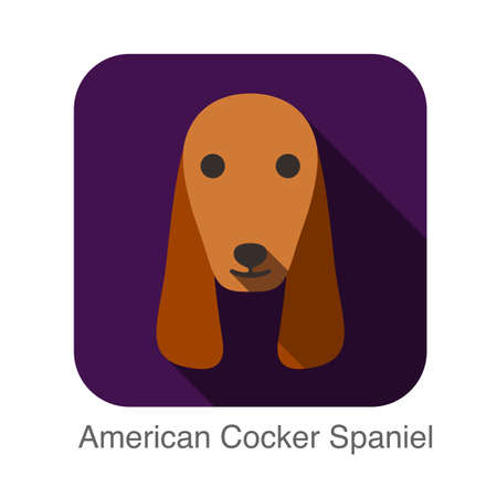 American Cocker Spaniel animal face ui flat designのイラスト素材