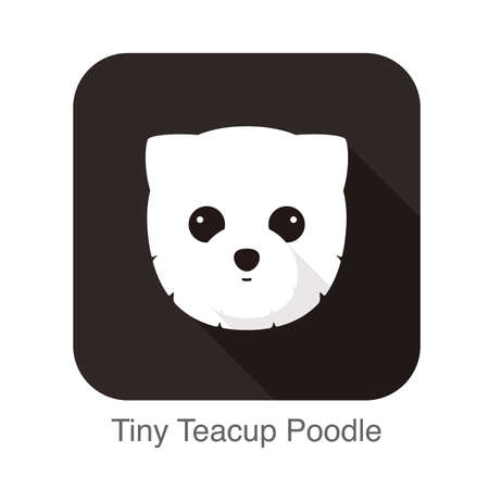 tiny teacup poodle dog face flat iconのイラスト素材