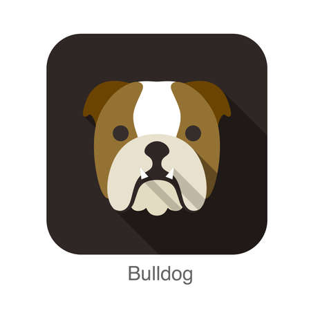 Bulldog dog face flat iconのイラスト素材