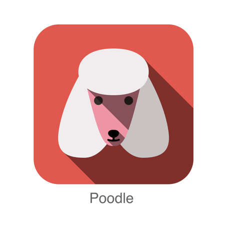 Poodle animal face ui flat designのイラスト素材