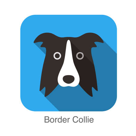 Border Collie dog face flat iconのイラスト素材