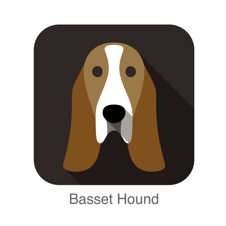 basset hound face flat icon, dog seriesのイラスト素材