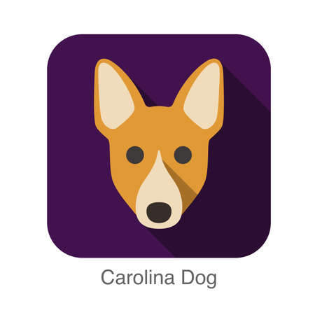 Carolina dog face flat icon, dog seriesのイラスト素材