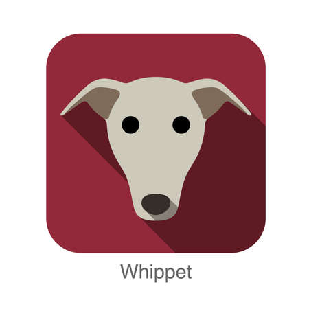 Whippet dog face flat icon, dog seriesのイラスト素材