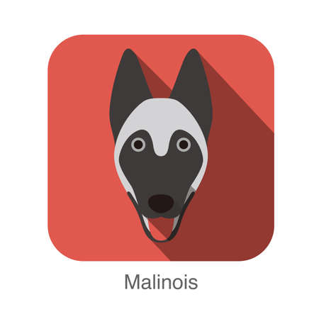 Malinois dog face flat icon, dog seriesのイラスト素材