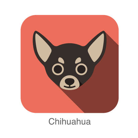 Chihuahua animal face flat iconのイラスト素材