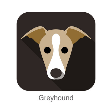 Grayhound dog face flat iconのイラスト素材
