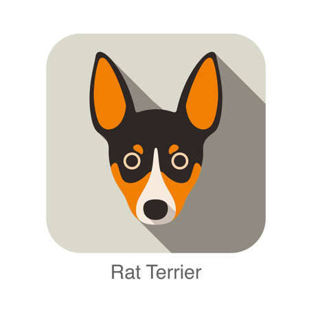 Rat terrier dog face flat icon, dog seriesのイラスト素材