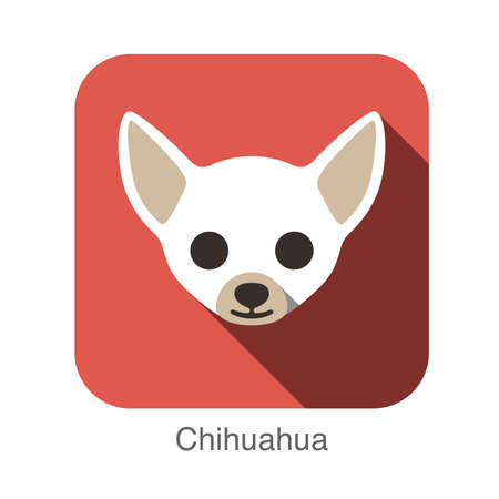 Chihuahua animal face flat iconのイラスト素材