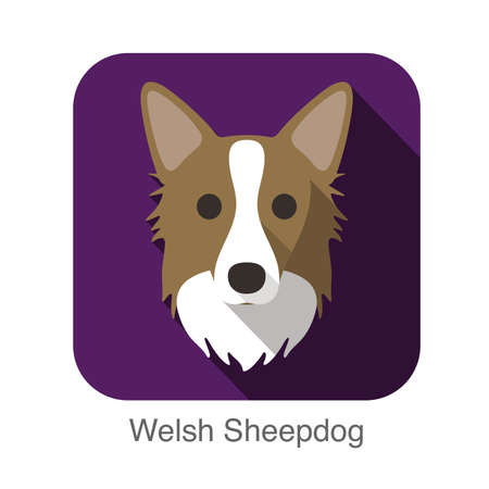 Welsh sheepdog dog face flat icon, dog seriesのイラスト素材