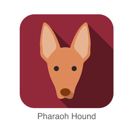 Pharaoh Hound dog face flat iconのイラスト素材