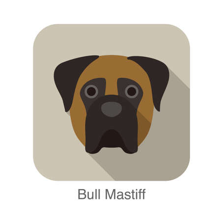 Bull mastiff dog face flat icon, dog seriesのイラスト素材