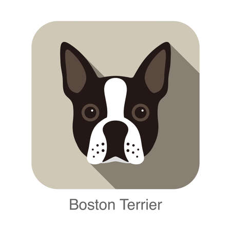 Boston terrier dog character, dog breed cartoon image seriesのイラスト素材