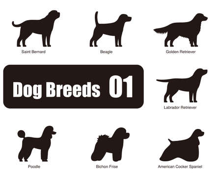 Dog breeds, standing on the ground, side view ,silhouette, black and white, vector illustration, dog cartoon image seriesのイラスト素材