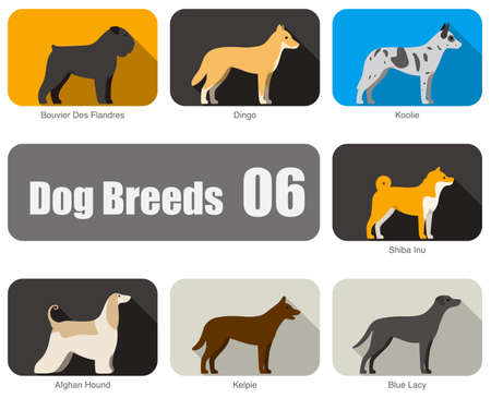 Dog breeds, standing on the ground, side view, vector illustration, dog cartoon image seriesのイラスト素材