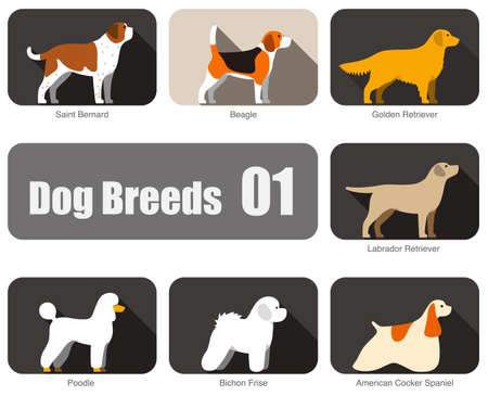 Dog breeds, standing on the ground, side view, vector illustration, dog cartoon image seriesのイラスト素材