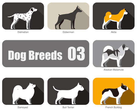 Dog breeds, standing on the ground, side view, vector illustration, dog cartoon image seriesのイラスト素材