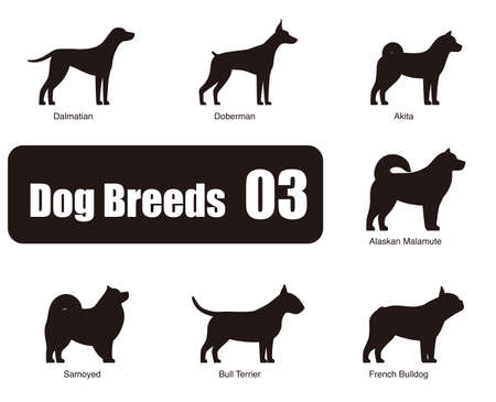 Dog breeds, standing on the ground, side view ,silhouette, black and white, vector illustration, dog cartoon image seriesのイラスト素材