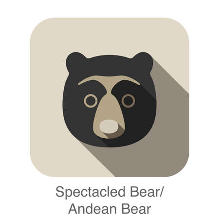 Spectacled bear face flat icon design. Animal icons series.のイラスト素材