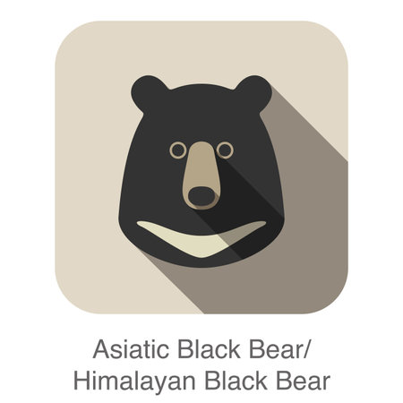 Asiatic black bear face flat icon design. Animal icons series.のイラスト素材
