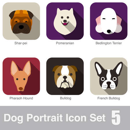 Dog face portrait icon design seriesのイラスト素材