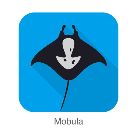 Mobula swimming in the sea, vectorのイラスト素材