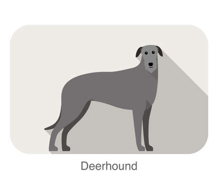 deerhound standing an watching, flat icon design, vector illustrationのイラスト素材