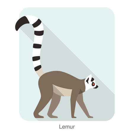 Cute lemur walking on the ground, vector illustrationのイラスト素材