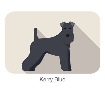 Kerry blue terrier standing and watching flat icon designのイラスト素材