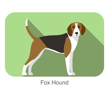 fox hound terrier standing and watching, flat icon, vector illustrationのイラスト素材