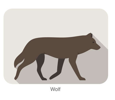Wolf walking or running on the ground vector illustrationのイラスト素材